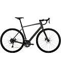 TREK Domane AL 2 Gen 4 Matte Lithium Grey